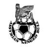 Chicago Winged Bull