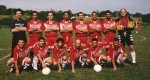 Winged Bull 1998